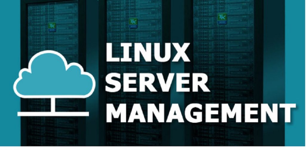 Linux Server Management & Support Services in IndiaLinux Server Management, Linux Server Management & Support Services in India,Linux Server Management in India,Linux Server Management Provider Company in India